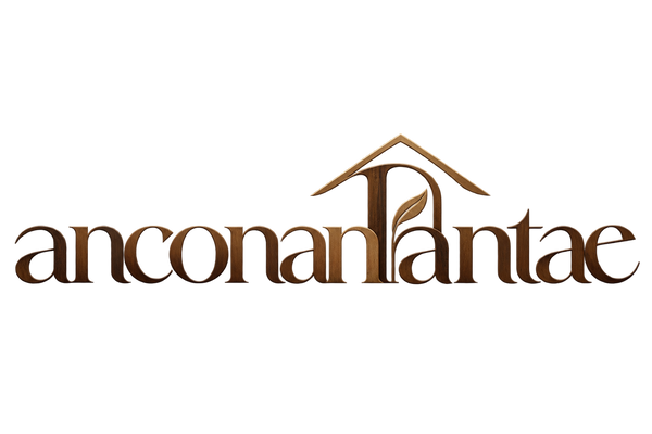 anconandantae
